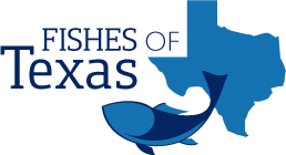 Fishes of Texas